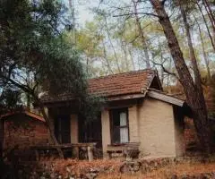Домики у воды «Рузские Лужки»