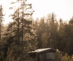 Отдых в Подмосковье «Амбарн»