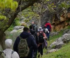 Туры и отдых с «Армавирское бюро»