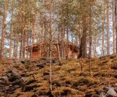 Юрты, озеро и рыбалка в «Баскаке»