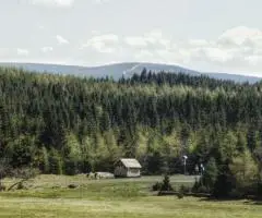 Рыболовный отдых