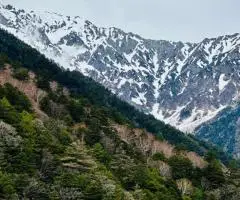 Экскурсионные и лечебные туры