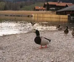 Загородный отдых в «Ярославна»