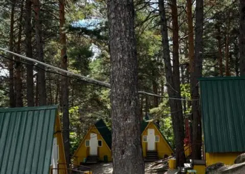 ГАУ Дол Колосок - 1/1