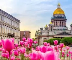 Горящий тур или море из Брянска