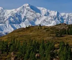 Премиальный автотур по Алтаю