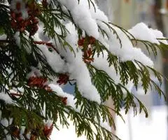 Экскурсии по Туле и области