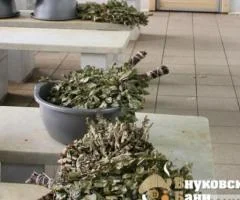 Внуковские бани