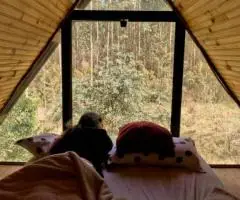 Отдых в «Улыбышево» - 1