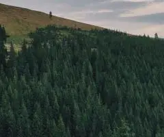 Отдых и баня в «Небо» - 1