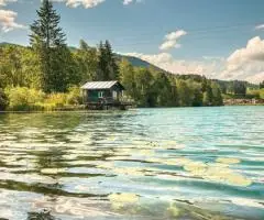 Отдых в «Pine River, загородный отель» - 1