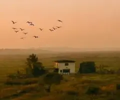 Отдых в «Голубой огонек»