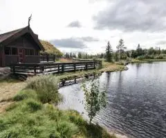 Отдых в «Ra family dacha» - 1