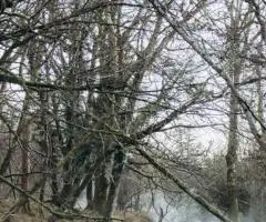 Отдых у воды в «Круглое озеро»